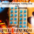 Sildenafil Kamagra 100Mg Oral Jelly new08